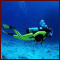 Diver